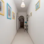 Akisol